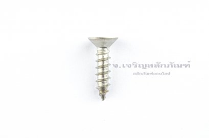 สกรูเกลียวปล่อยสแตนเลสหัวเตเปอร์แฉก M6x25