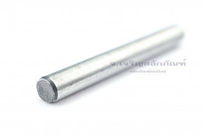 ปิ๊นกลม-สลักกลม Dowel Pin ขนาด 6x50