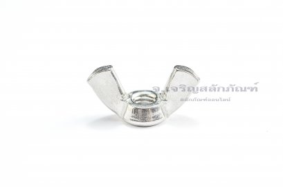 หัวน็อตหางปลาสแตนเลส M6