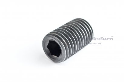 น็อตตัวหนอนดำแข็ง M24x40