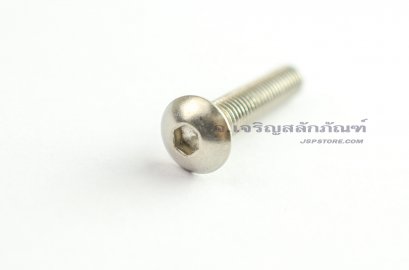 น็อตหัวจมกลมสแตนเลส M5x25