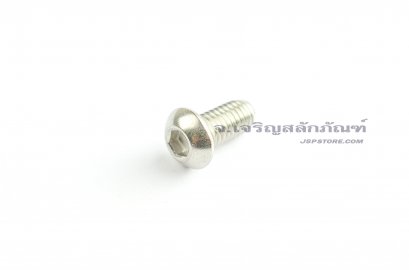 น็อตหัวจมกลมสแตนเลส M6x10