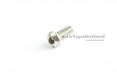 น็อตหัวจมกลมสแตนเลส M6x12