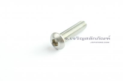 น็อตหัวจมกลมสแตนเลส M6x20
