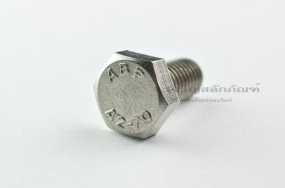น็อตหัวเหลี่ยมสแตนเลส Stainless Steel Hex Bolt M10x20