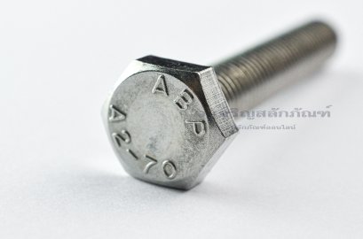น็อตหัวเหลี่ยมสแตนเลส Stainless Steel Hex Bolt M10x65