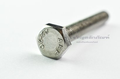 น็อตหัวเหลี่ยมสแตนเลส Stainless Steel Hex Bolt M10x75