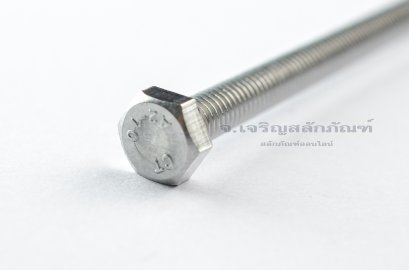น็อตหัวเหลี่ยมสแตนเลส Stainless Steel Hex Bolt M6x130 (น็อตเบอร์ 10)