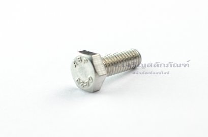 น็อตหัวเหลี่ยมสแตนเลส Stainless Steel Hex Bolt M6x15 (น็อตเบอร์ 10)