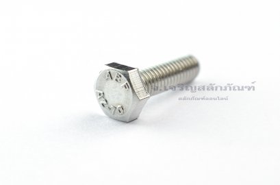 น็อตหัวเหลี่ยมสแตนเลส Stainless Steel Hex Bolt M6x20 (น็อตเบอร์ 10)