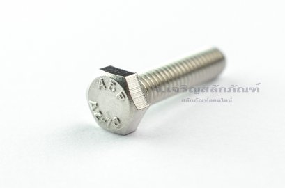 น็อตหัวเหลี่ยมสแตนเลส Stainless Steel Hex Bolt M6x25 (น็อตเบอร์ 10)