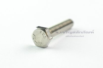 น็อตหัวเหลี่ยมสแตนเลส Stainless Steel Hex Bolt M6x30 (น็อตเบอร์ 10)