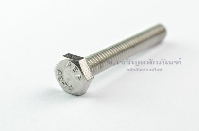 น็อตหัวเหลี่ยมสแตนเลส Stainless Steel Hex Bolt M6x40 (น็อตเบอร์ 10)