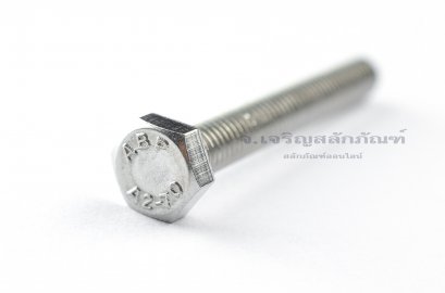 น็อตหัวเหลี่ยมสแตนเลส Stainless Steel Hex Bolt M6x45 (น็อตเบอร์ 10)