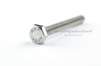 น็อตหัวเหลี่ยมสแตนเลส Stainless Steel Hex Bolt M6x50 (น็อตเบอร์ 10)
