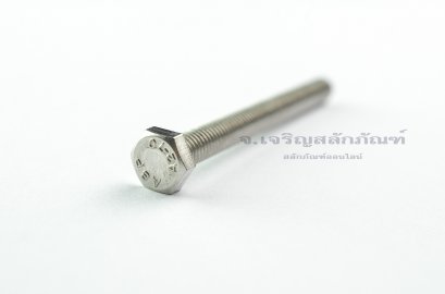 น็อตหัวเหลี่ยมสแตนเลส Stainless Steel Hex Bolt M6x55 (น็อตเบอร์ 10)