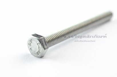 น็อตหัวเหลี่ยมสแตนเลส Stainless Steel Hex Bolt M6x60 (น็อตเบอร์ 10)