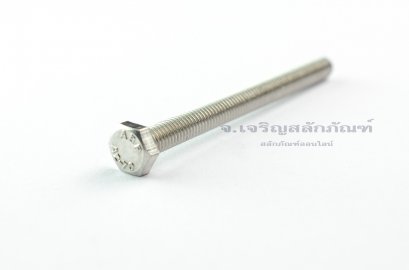 น็อตหัวเหลี่ยมสแตนเลส Stainless Steel Hex Bolt M6x65 (น็อตเบอร์ 10)