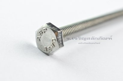 น็อตหัวเหลี่ยมสแตนเลส Stainless Steel Hex Bolt M6x90 (น็อตเบอร์ 10)