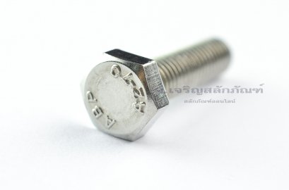 น็อตหัวเหลี่ยมสแตนเลส Stainless Steel Hex Bolt M8x30