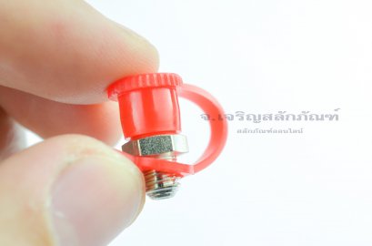 ฝาครอบหัวอัดจารบี ขนาด 6 มิล