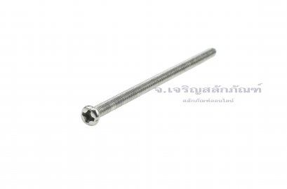 น็อตหัวกลมแฉกสแตนเลส M3x60