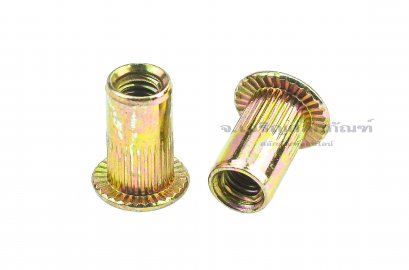 รีเวทนัท M4 Rivet Nut