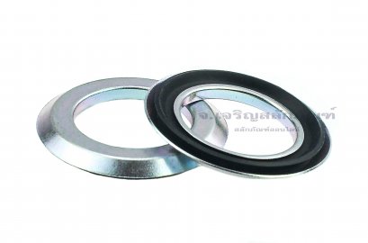 ซีลแกมมา Gamma Seal RB 25-40-4