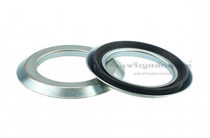 ซีลแกมมา Gamma Seal RB 30-47-4.5