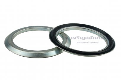 ซีลแกมมา Gamma Seal RB 60-80-5.5