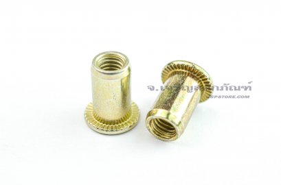 รีเวทนัท M6 Rivet Nut