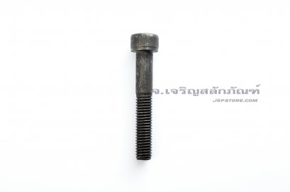 น็อตหัวจมดำแข็ง M8x55