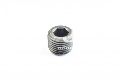 ปลั๊กอุดตัวหนอนดำ 1/8&quot; BSP/PT - 28