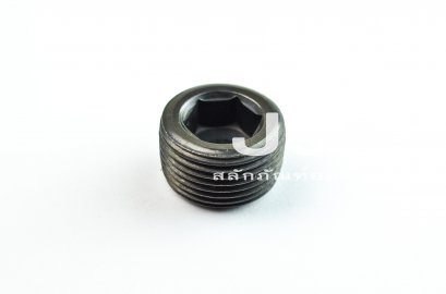ปลั๊กอุดตัวหนอนดำ 3/4&quot; BSP/PT - 14