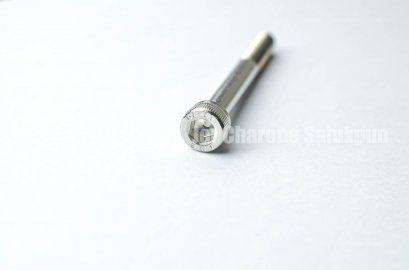 น็อตหัวจมสแตนเลส M6x60