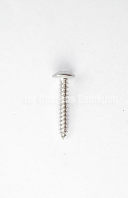 สกรูเกลียวปล่อยสแตนเลสหัวร่มแฉก 4x25