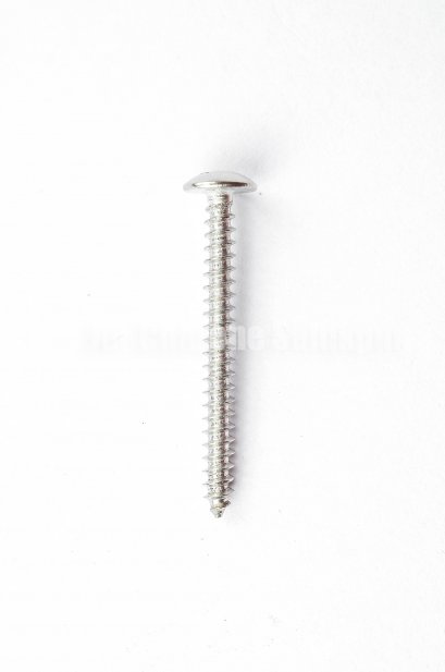 สกรูเกลียวปล่อยสแตนเลสหัวร่มแฉก 4x40