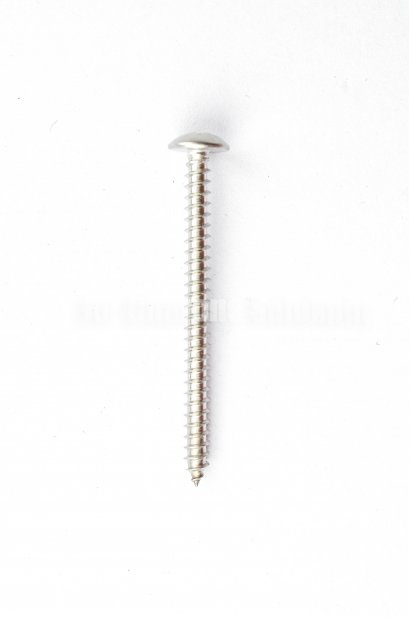 สกรูเกลียวปล่อยสแตนเลสหัวร่มแฉก 4x50