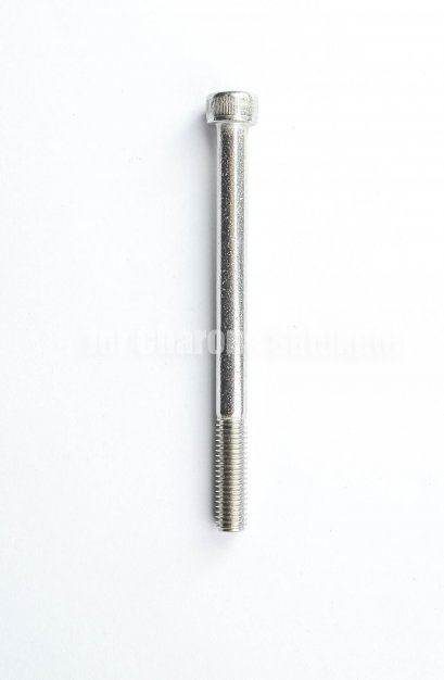 น็อตหัวจมสแตนเลส M8x100