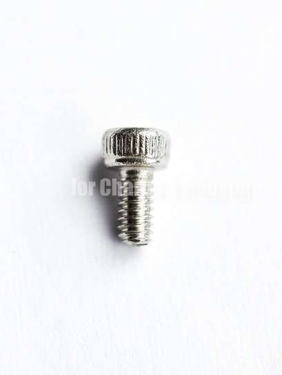 น็อตสแตนเลสหัวจม M2x4