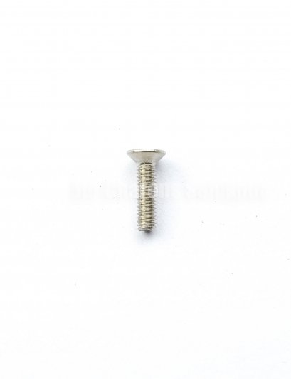 น็อตหัวเตเปอร์แฉกสแตนเลส M2.5x10