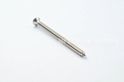 สกรูเกลียวปล่อยสแตนเลสหัวเตเปอร์แฉก 4x63 (ยาว 2½&quot;)