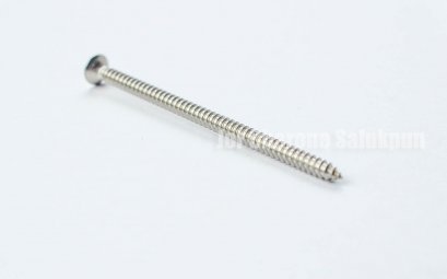 สกรูเกลียวปล่อยสแตนเลสหัวเตเปอร์แฉก 4x76 (ยาว 3&quot;)