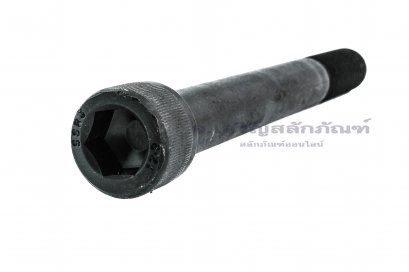 น็อตหัวจมดำแข็ง M20x180