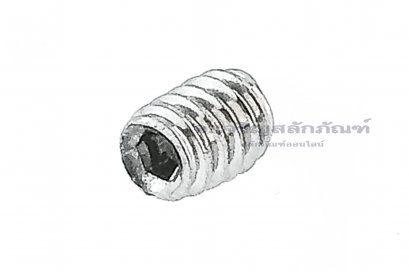 น็อตตัวหนอนสแตนเลส M2x2.5
