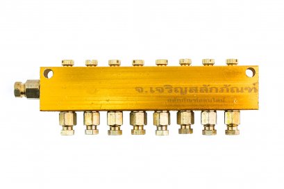 ข้อต่อรวม - หัวจ่ายจารบีน้ำมันหล่อลื่นแบบตาไก่เสียบสาย 9 ทาง รูเข้า 6 mm x รูออก 4 mm