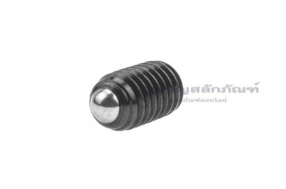 น็อตตัวหนอนปลายลูกปืน 1/4&quot;x1/2&quot;