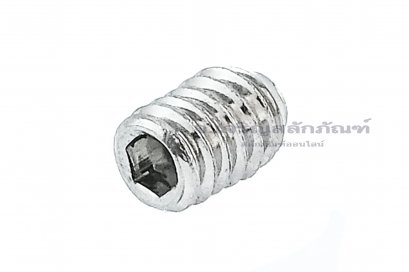 น็อตตัวหนอนสแตนเลส M2.5x3.5