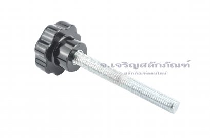 น็อตมือหมุนดอกไม้ (Star Grip Knob Bolt) ขนาด M12x100  ขนาดความโตหัว 48 mm