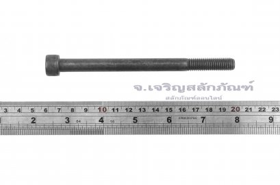 น็อตหัวจมดำแข็ง M10x150